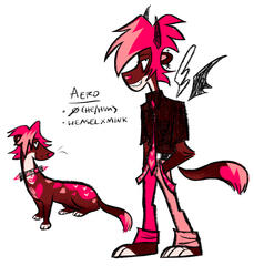 Aero (fursona)